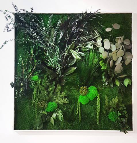 Moss Frames / AMAZONIA(Foliage)